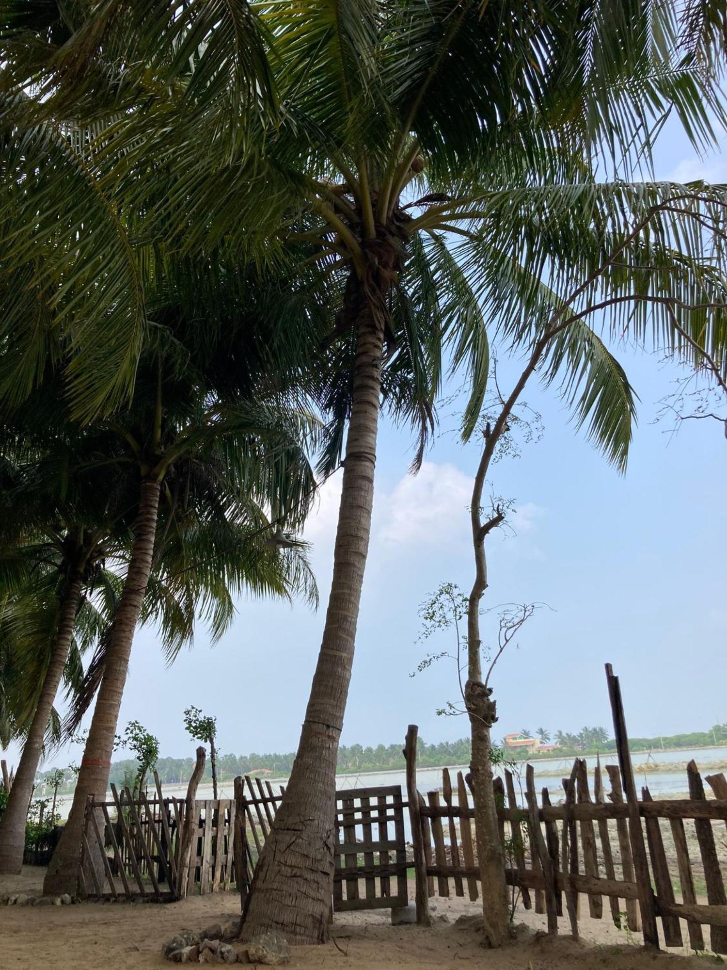 Kite Bay Villa Kalpitiya Esterno foto