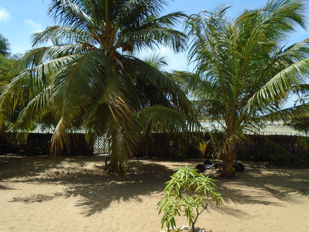 Kite Bay Villa Kalpitiya Esterno foto
