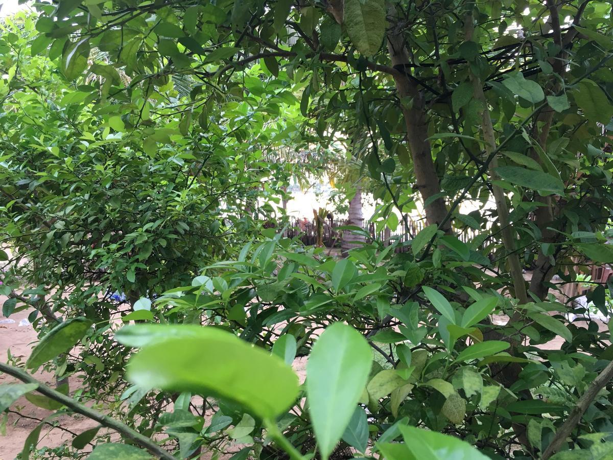 Kite Bay Villa Kalpitiya Esterno foto